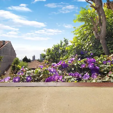 - - 3 דירה פורטו